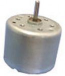 Brush DC Motor 310